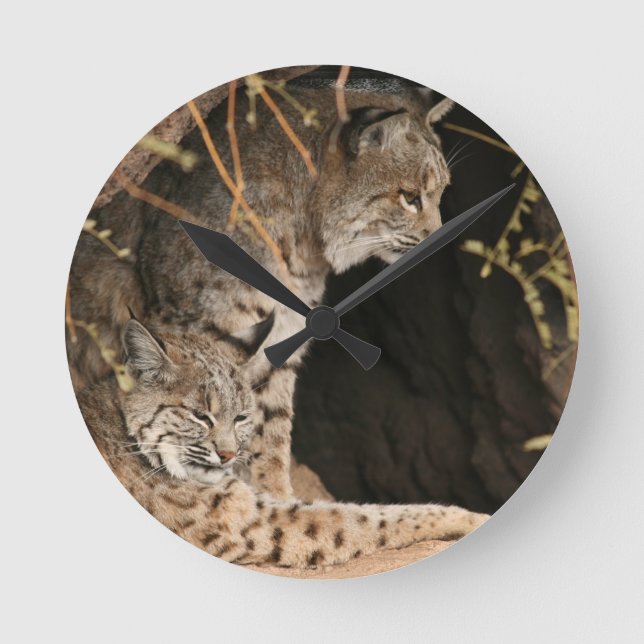 Bobcat-Foto-Uhr Runde Wanduhr (Vorderseite)