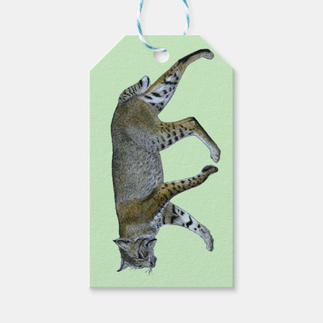 Bobcat Geschenkanhänger (Vorderseite)