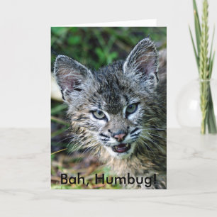 BobCat, Humbug! Feiertagskarte