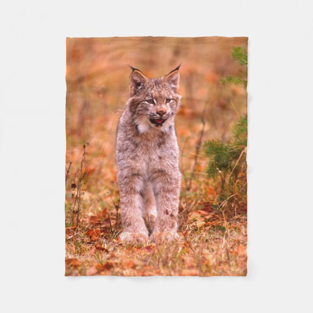 Bobcat Jagd | Herbstwald Fleecedecke (Vorderseite)
