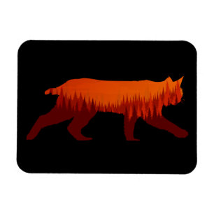 Bobcat Lynx Forest Tree Landschaft Wilderness Sun Magnet