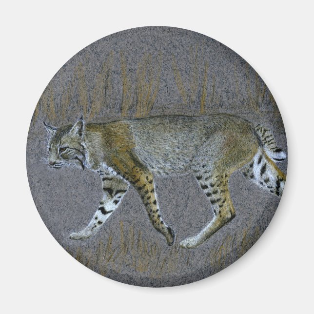 Bobcat Magnet (Vorne)
