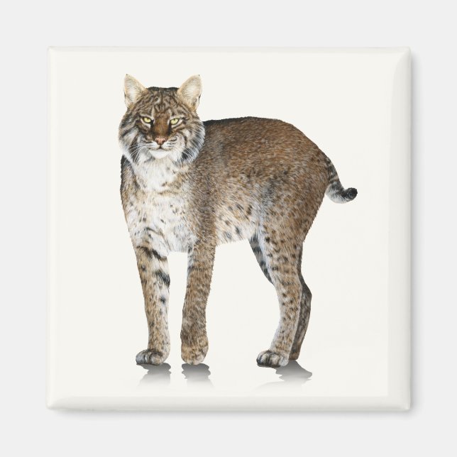 Bobcat Magnet (Vorne)