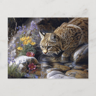 Bobcat mit Wildblumen Landschaftlich Art Postkarte