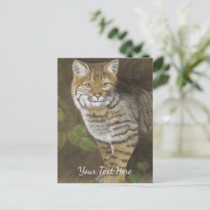 Bobcat Postkarte