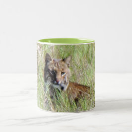 Bobcat-Ruhen auf dem Feld Zweifarbige Tasse