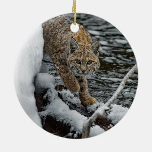 Bobcat Schneewasser-Foto Keramik Ornament