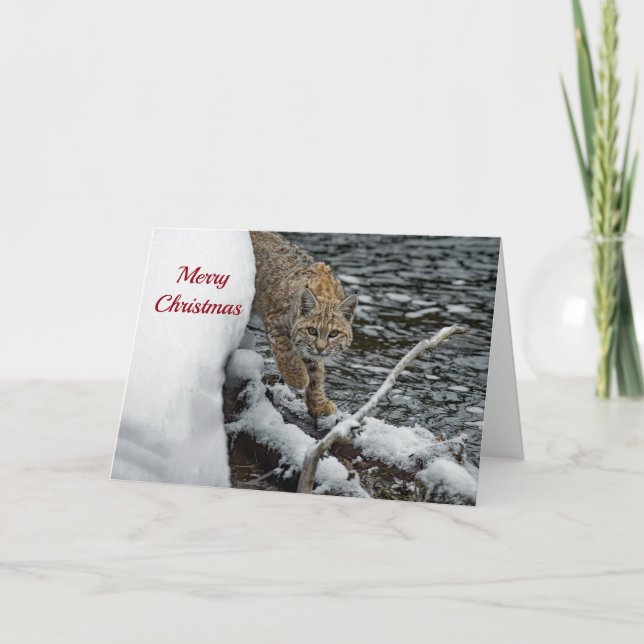 Bobcat Snow Water Foto Weihnachten (Vorderseite)