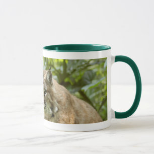Bobcat-Tassen Tasse