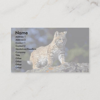 Bobcat Visitenkarte