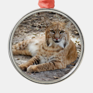 Bobcat Weihnachtsschmuck