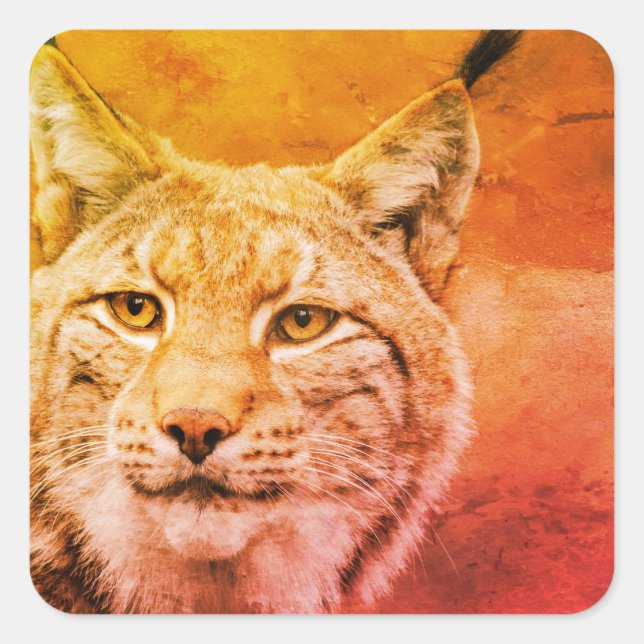 Bobcat Wildlife Stickers (Vorderseite)