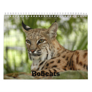 BobcatBCR032, Rotluchse Kalender