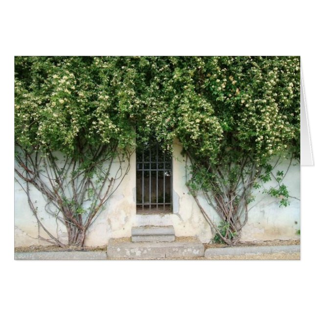 Boboli Gardens (Vorderseite (Horizontal))