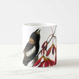 Bobolink von Audubon Kaffeetasse