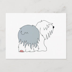 Bobtail Sheepdog Postkarte