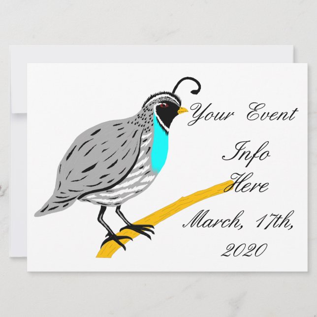 Bobwhite Blue-throated Quail Thunder_Cove (Vorderseite)