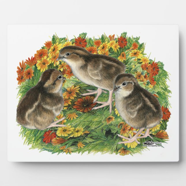 Bobwhite Garden Chicks Fotoplatte (Vorderseite)