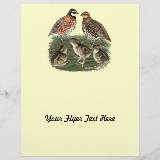 Bobwhite Quail Flyer (Vorne)