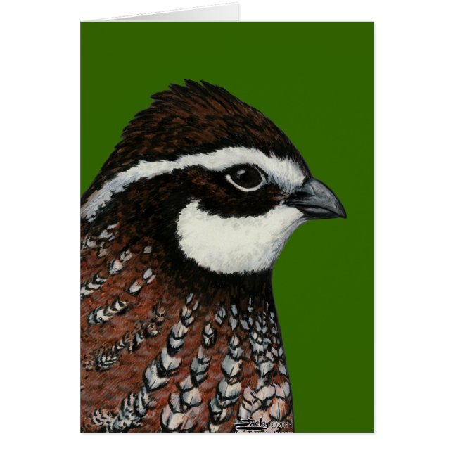 Bobwhite Quail Head (Vorne)
