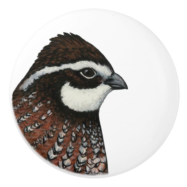 Bobwhite Quail Head Keramikknauf (Vorderseite)