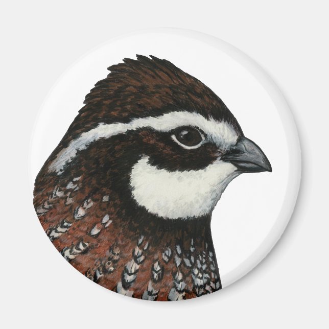 Bobwhite Quail Head Magnet (Vorne)
