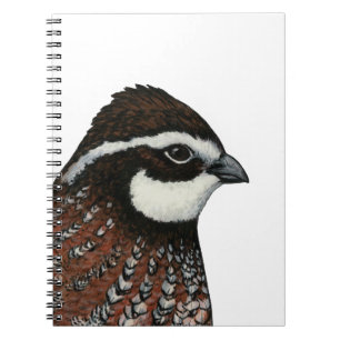 Bobwhite Quail Head Notizblock