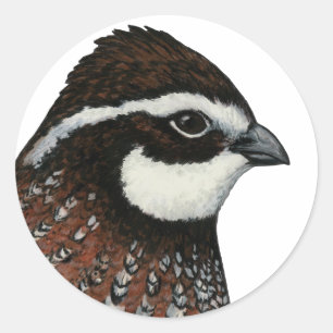 Bobwhite Quail Head Runder Aufkleber