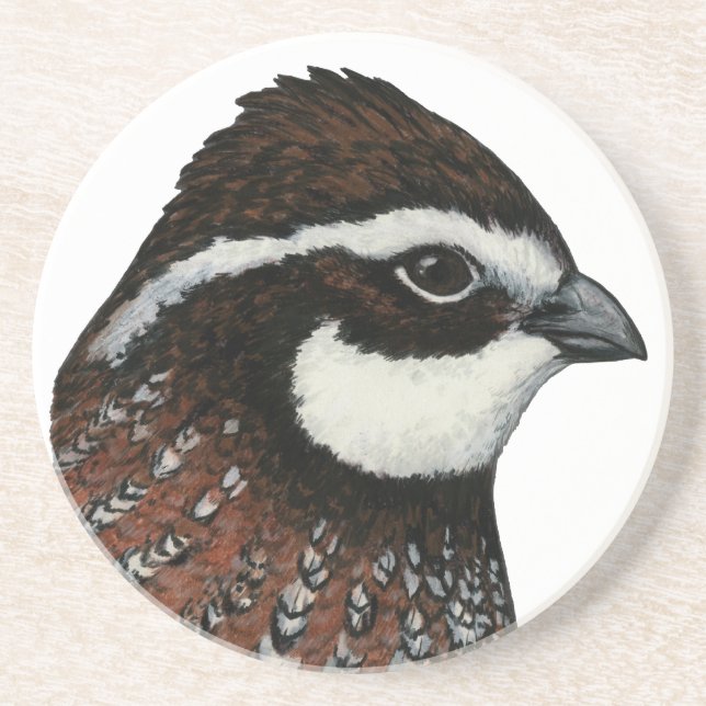 Bobwhite Quail Head Sandstein Untersetzer (Vorne)