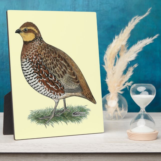 Bobwhite Quail Hen Fotoplatte (Seite)