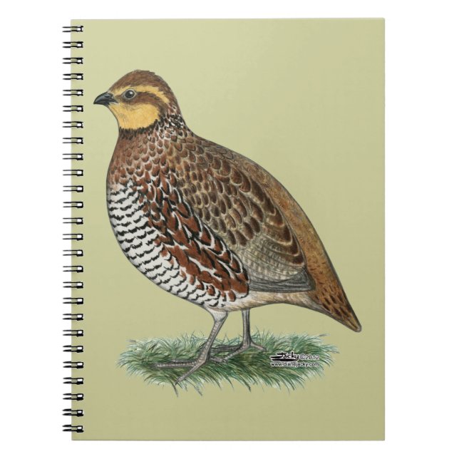 Bobwhite Quail Hen Notizblock (Vorderseite)