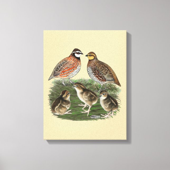 Bobwhite Quail Leinwanddruck (Vorderseite)