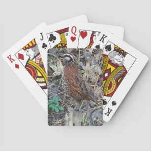 Bobwhite Quail Playing Cards, Quests Spielkarten