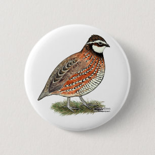 Bobwhite Quail Rooster Button