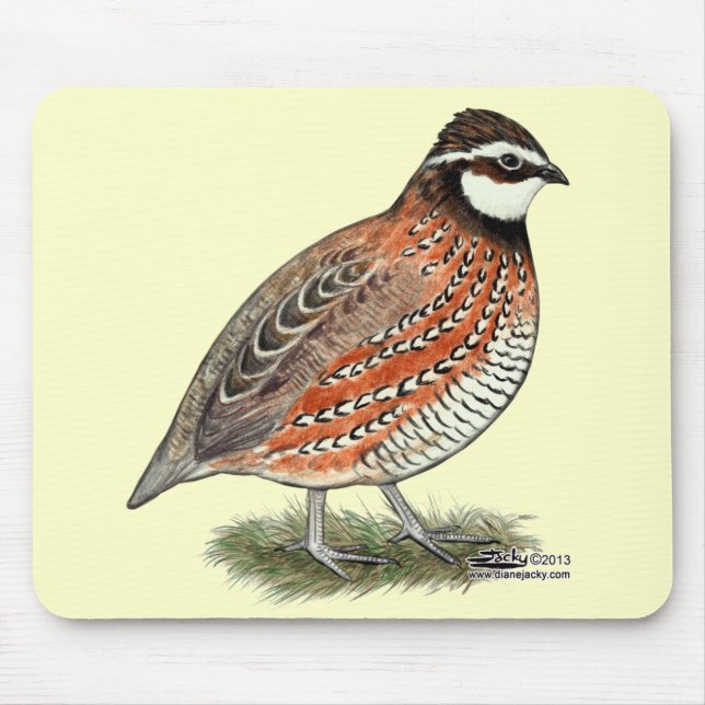 Bobwhite Quail Rooster Mousepad (Vorne)