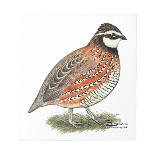 Bobwhite Quail Rooster Notizblock (Vorderseite)