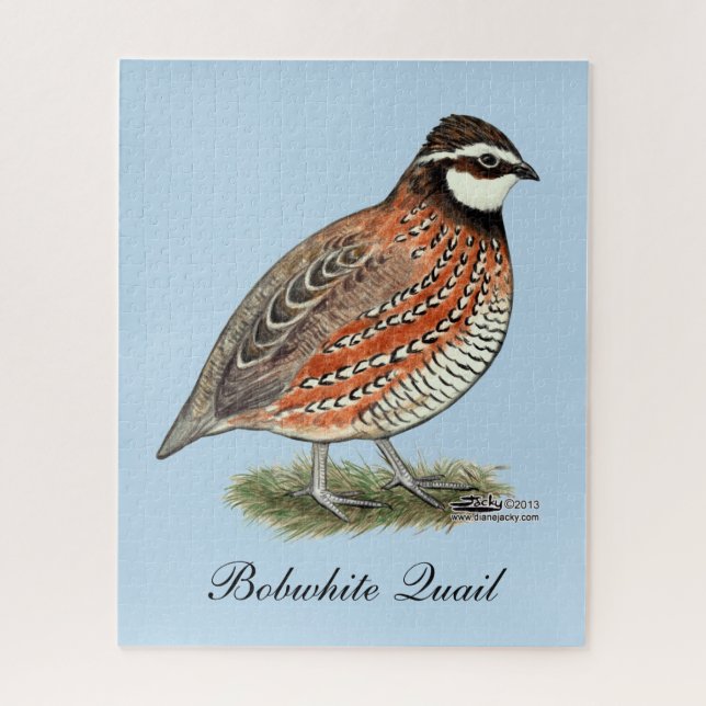Bobwhite Quail Rooster Puzzle (Vertikal)