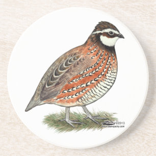 Bobwhite Quail Rooster Sandstein Untersetzer