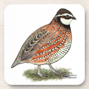 Bobwhite Quail Rooster Untersetzer