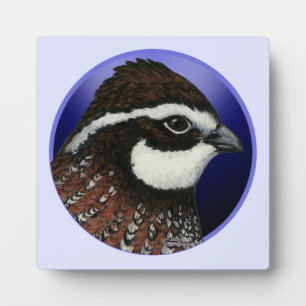 Bobwhite-Wachtel-Kopfkreis Fotoplatte