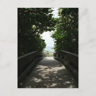 Boca Beach Boardwalk Postkarte