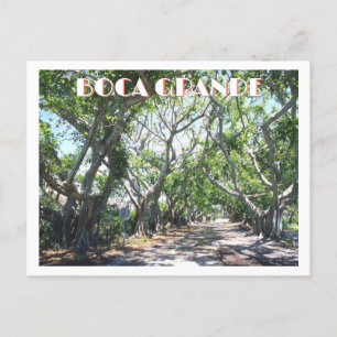 Boca Grande, Gasparilla Island, Florida Banyans Postkarte