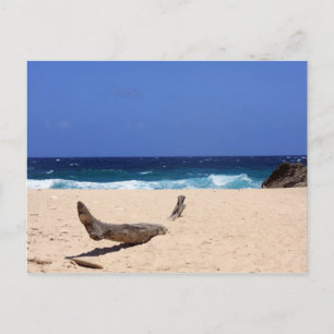 Boca Mahos Postkarte