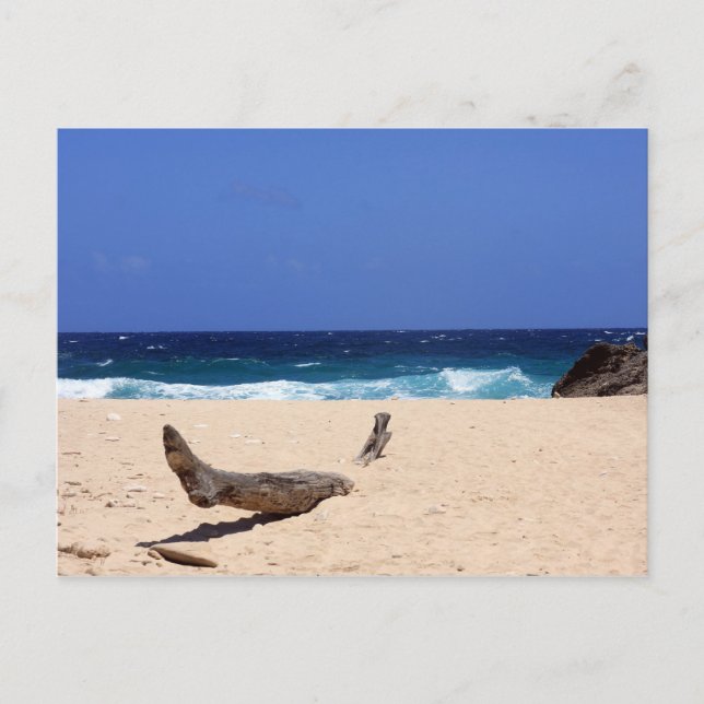 Boca Mahos Postkarte (Vorderseite)