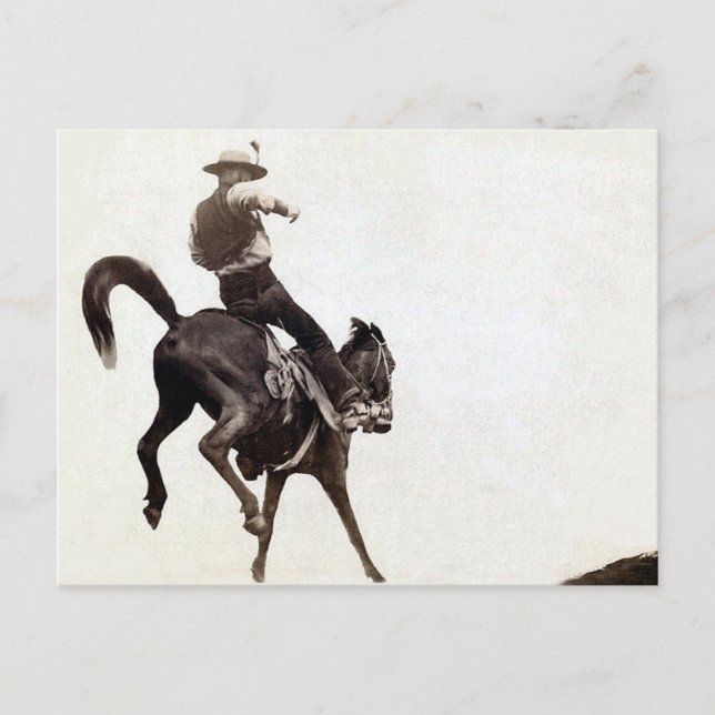 Bockender Bronco Postkarte (Vorderseite)