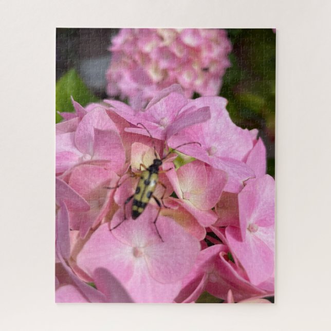 Bockkäfer auf rosa Hortensie Puzzle (Vertikal)