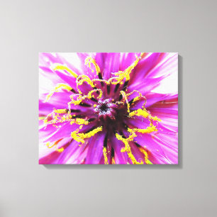 Bocksbart-Blume Leinwanddruck