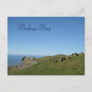 Bodega Bay, Ca, Postkarte