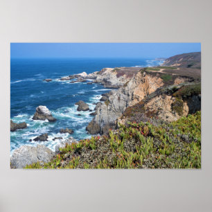 Bodega Head Rugged Coast and Trail Poster