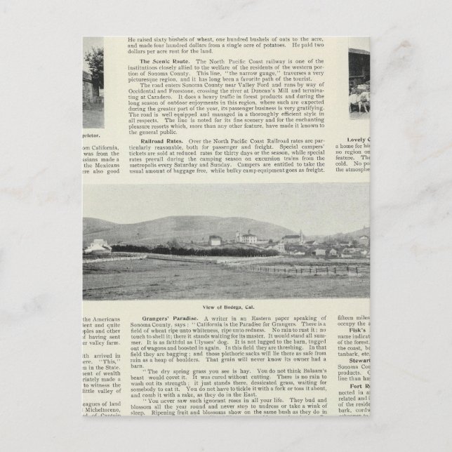 Bodega, Kalifornien Postkarte (Vorderseite)